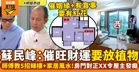 2023家居風水佈局蘇民峯